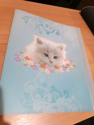 Stationery set used with folder, notebooks and stabilo