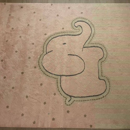 Saint Clair baby room rug and curtain used, pink