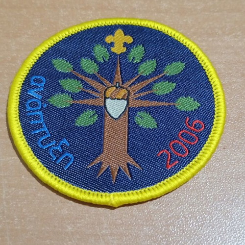 Scout collectible badge 2006 year of development new