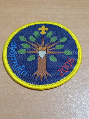 Scout collectible badge 2006 year of development new