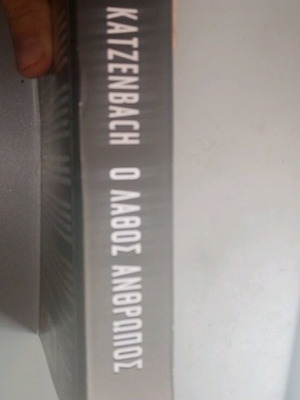 The Wrong Man book like new