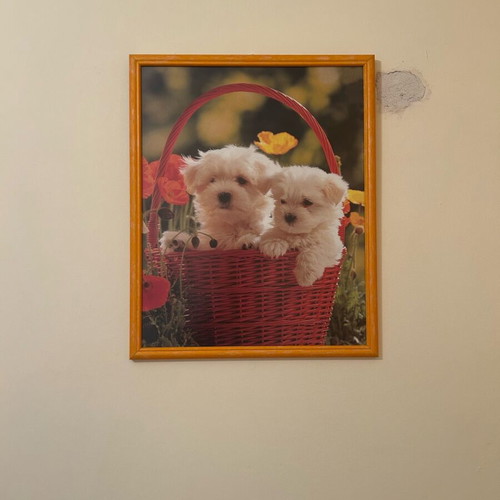 Picture frame set with image like new