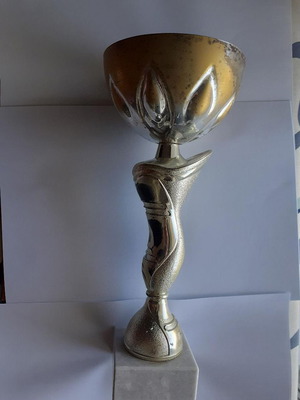 Memorabilia trophy used, without inscription
