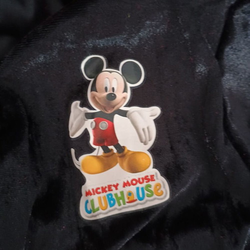 Mickey Mouse Disney costume used