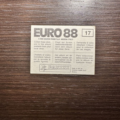 Panini Euro 1988 France 1984 Champions Team Sticker used, vintage