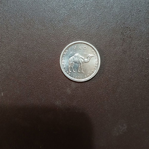 Somalia 10 Shillings coin 2000