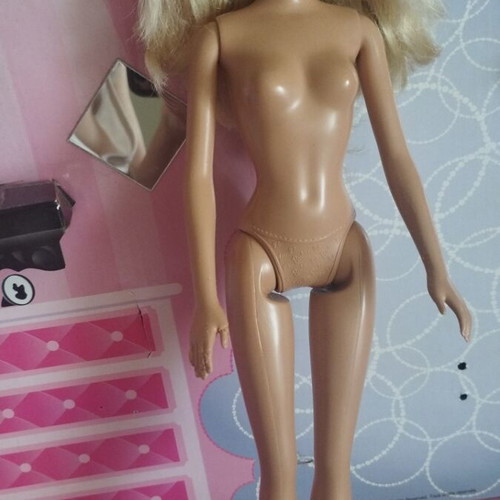Barbie doll with 2012 Budget Heart Dress Glitz Barbie outfit