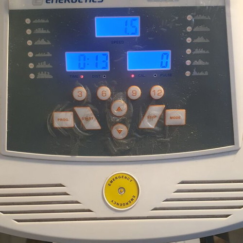 Energetics treadmill