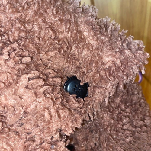 Teddy coat Zara used, rotten apple color, size S