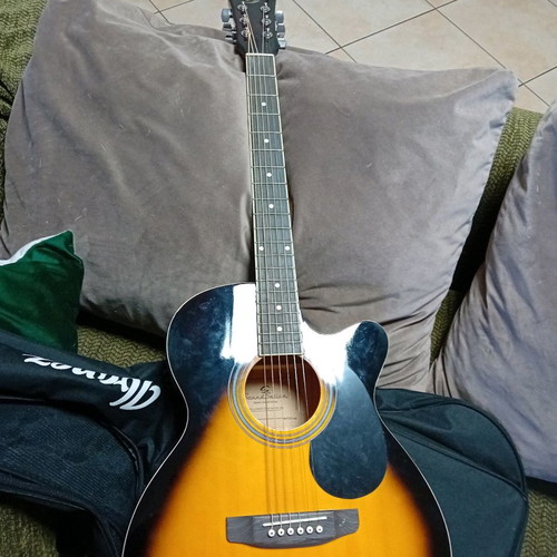Classical and electroacoustic guitars with cases new