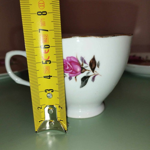 Vintage porcelain cup and saucer set with fuchsia roses