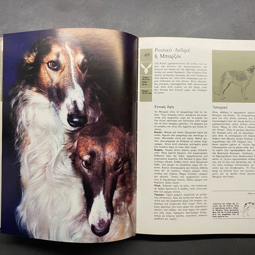 The Big Book of the Dog 2 volumes like new