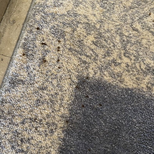 Runner rug used, 3.00 x 0.67 m, gray and blue leaf design