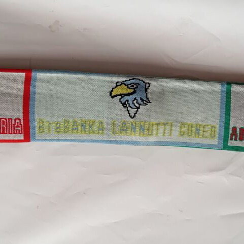 Panathinaikos Final 4 Volleyball 2009 OAKA Scarf new, double-sided knit