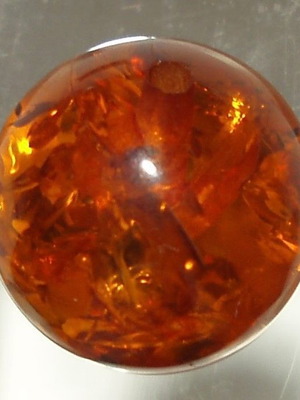 Authentic Baltic processed amber pierced 16.20mm 13.3ct
