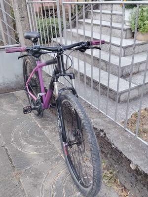 Sprint 29" mountain bike with disc brakes and front suspension