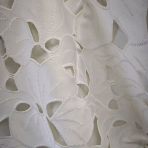 H&M skirt new, lace cutwork worn once