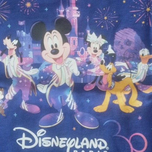 Disney T-shirt for girl 12 years old, used, blue