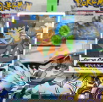  Brock & Bonsly ZUKAN Carddass THE POKÉMON WEEKLY SNAP 003 Pokemon Card Japanese