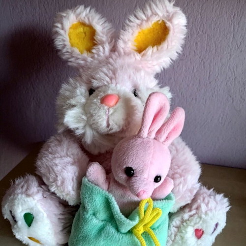 Stuffed bunnies used, freshly washed for hugs