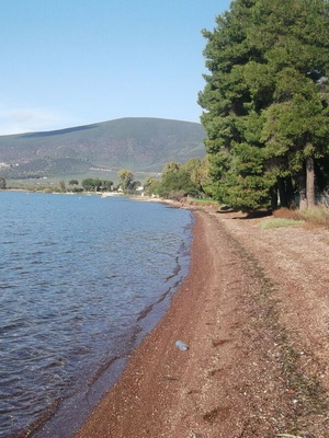 Αγροτεμάχιο παραθαλάσσιο 35.000 m² στα Μελίσσια Στυλίδος οικοδομήσιμο