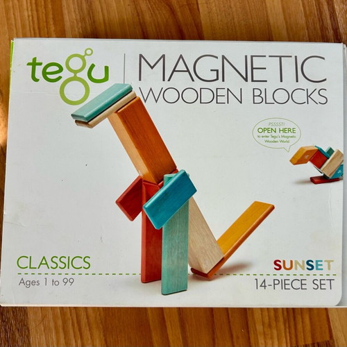 Tegu Magnetic wooden blocks like new