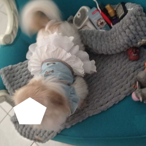 Handmade pet set with Alize Puffy yarn, light gray, made to order
