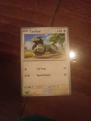 Pokemon card new