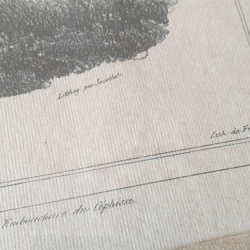 Nafplio engraving 1834 used by Otto Magnus von Stackelberg