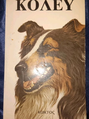 Vintage book about Collie dog used