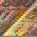  Panini Premier league 2025