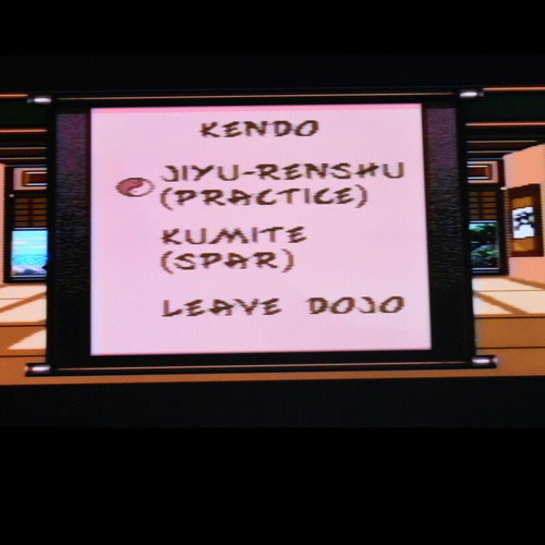 Budokan: The Martial Spirit Sega Mega Drive game used