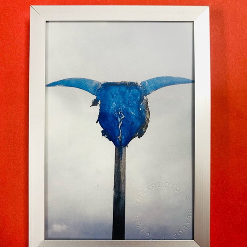Authentic Taurus photo signed, 16x12 cm