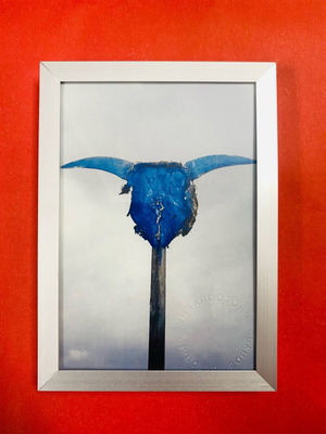 Authentic Taurus photo signed, 16x12 cm