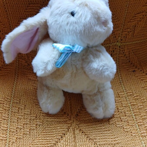 Plush rabbit used