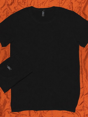 Minerva 2 Sporties slim fit T-shirts, black, size L