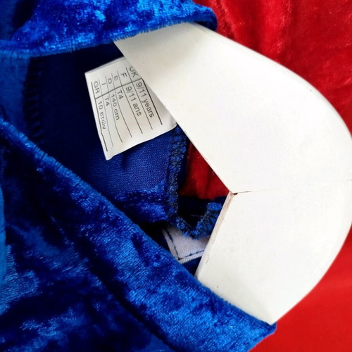 Carnival costume size 10 like new