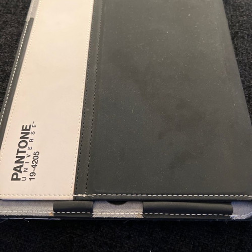 Pantone iPad case new