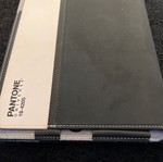Pantone iPad case new