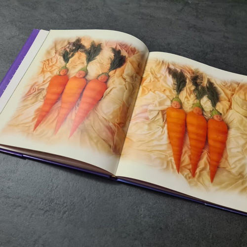 Album The Treasures of the Garden Anne Geddes used book