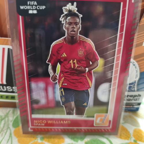 Nico Williams bronze Panini FIFA Road to World Cup sticker new