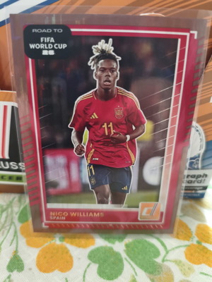 Nico Williams bronze Panini FIFA Road to World Cup sticker new