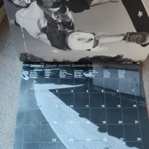Skateboarding wall calendar 2006 used