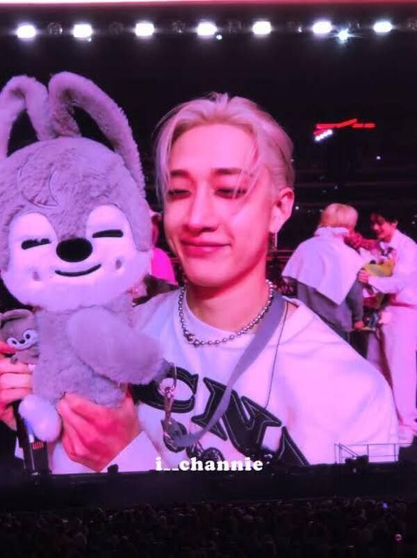 StrayKids SKZOO PLUSH BAG WolfChan・トレカ Wolfchan plush bag Stray Kids SKZOO new - € 260,00 - Vendora.cy