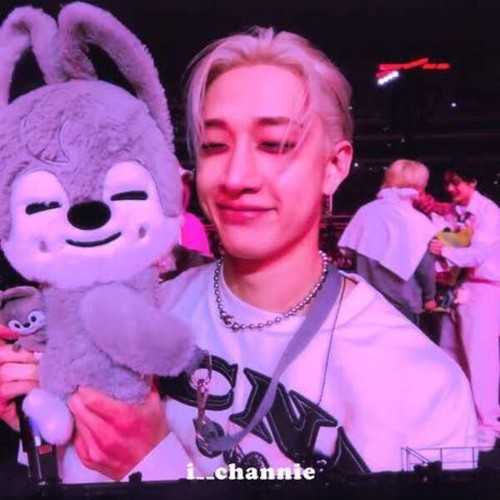 Wolfchan plush bag Stray Kids SKZOO new