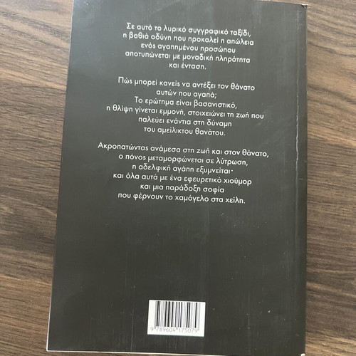 The Last Time I Saw Him by Mat Koen like new, Greek
