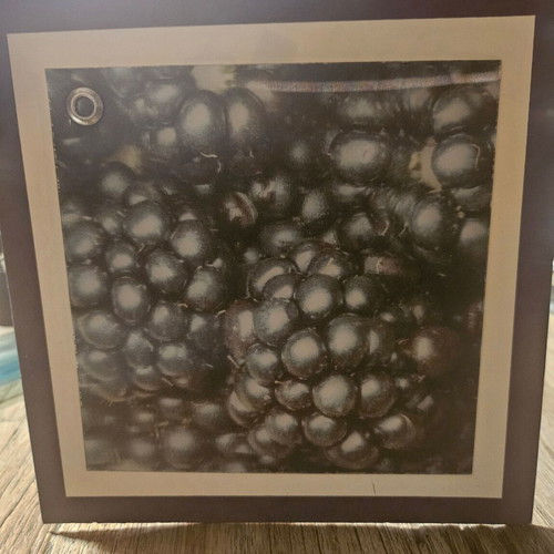 Greeting card 3D blackberries new