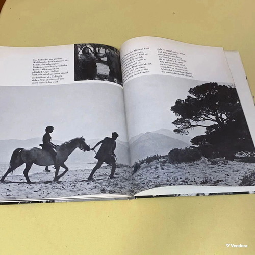 Junge Aphroditen hardcover art book like new, German