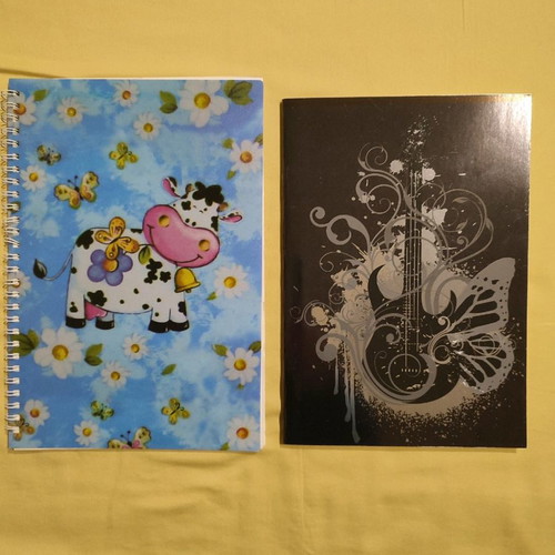 Notebooks with lines new