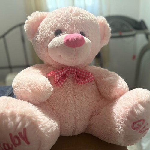 Large plush teddy bear like new baby girl